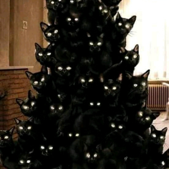 Meet your Posher, Audrey - Picture 5 of 16